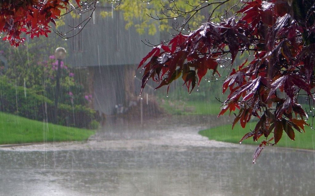 Немножко дождик. Осень дождь. Дождливая природа. Дождь фото. Природа дождь.